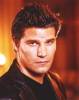 Saison 2 - Angel