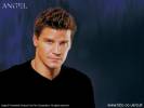 Saison 2 - Angel