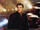 Saison 2 - Angel