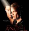 Saison 5 - Angel