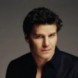 sondage