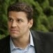Nouvelles photos Bones