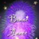 Bonne ann�e 2008 !!