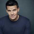 Promo - Bones Saison 10