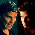 Angel/Angelus