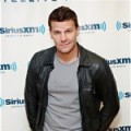 David Boreanaz de sortie