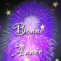 Bonne ann�e 2008 !!