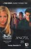 Angel Affiches Promos 