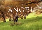 Angel Affiches Promos 