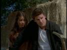 Angel Angel / Fred 