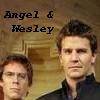 Angel Avatars 