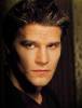 Angel Saison 1 