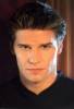 Angel Saison 1 