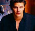 Angel Saison 5 