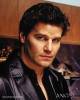 Angel Saison 5 