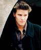 Angel Angel 